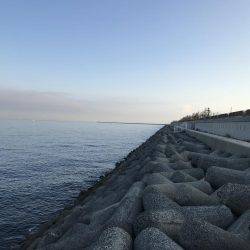 貝塚人工島1本勝負